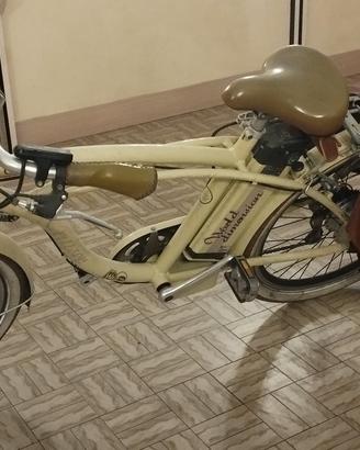 bicicletta elettrica 