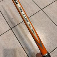 Canna Daiwa Proteus Tele Surf