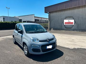 Fiat Panda 1.2 ok neopatentati unico proprietario 