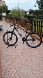 Mountain bike TORPADO 29