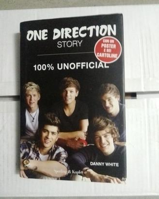 one direction story