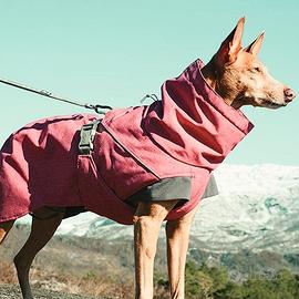 Pettorine e giacche Hurtta nuove!