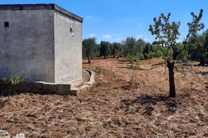 Terreno agricolo