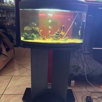ACQUARIO 60L, in BUONE CONDIZIONI