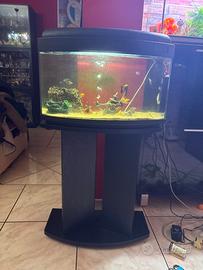 ACQUARIO 60L, in BUONE CONDIZIONI
