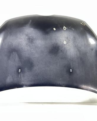 COFANO ANTERIORE FORD Fiesta 6° Serie 2002312 (08