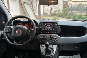 panda cross hybrid 2024