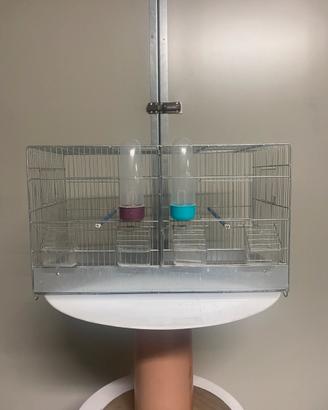 Gabbia x uccelli
