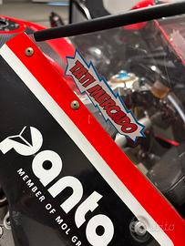 Panigale 1199R campione del mondo stock