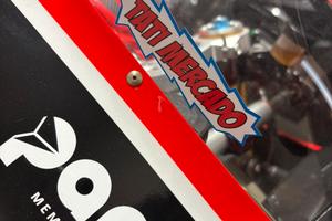 Panigale 1199R campione del mondo superbike stock