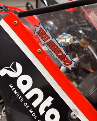 Panigale 1199R campione del mondo superbike stock