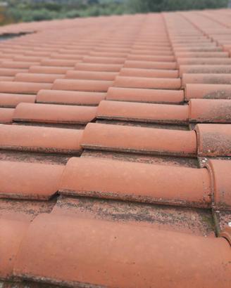 tegole
