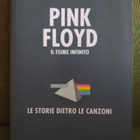 PINK FLOYD Il fiume infinito: Le storie dietro le