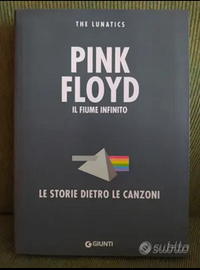 PINK FLOYD Il fiume infinito: Le storie dietro le