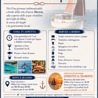 Escursioni in barca a vela