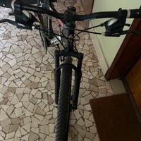 Bicicletta mtb esperia 29 pollici