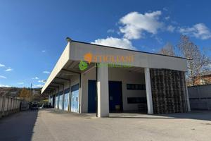 Locale commerciale, contrada selva piana - Camp...