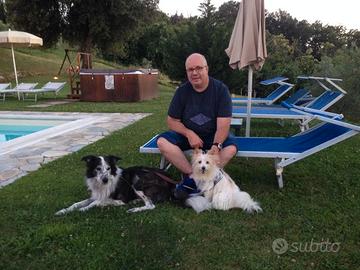 Consulenza Psicologo