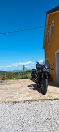 Triumph Tiger 800