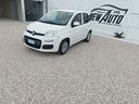 fiat-panda-1-3-mjt-80-cv-s-s-easy