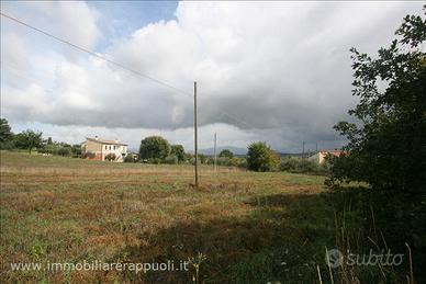 TR78 - Foiano della Chiana terreno in zona
