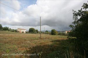 TR78 - Foiano della Chiana terreno in zona