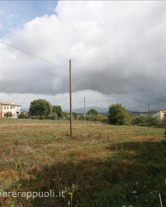 TR78 - Foiano della Chiana terreno in zona