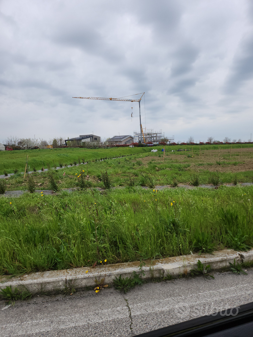 Terreno agricolo Q.10.000 vicino Bagnarola - Vista 3