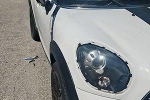 mini countryman  incidentata