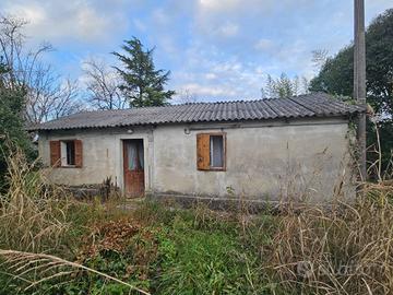 Rustico - Staranzano -