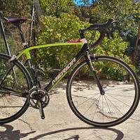 Bdc Bds Merida Scultura CF 905 Carbonio