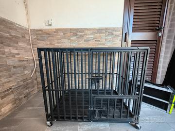 Kennel BingoPaw