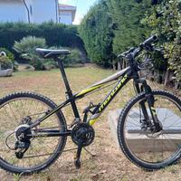 mountain bike da 24