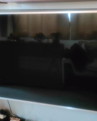 Samsung ue55mu6400 guasto per ricambi