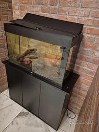 Acquario con accessori e mobiletto di supporto