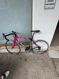 Giant T-mobile Giro d’italia 2005 da collezione