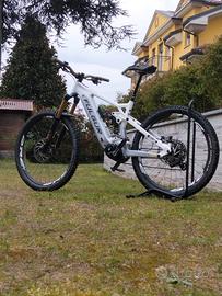Fulgur Mula 880 2025 tg M