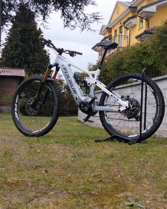 Fulgur Mula 880 2025 tg M