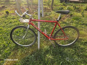 bicicletta da uomo 