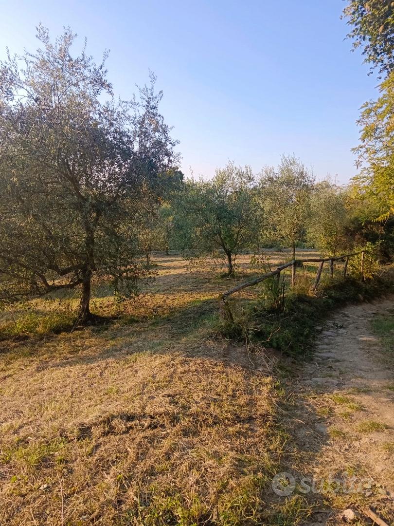 Terreno agricolo sui Colli Euganei - Vista 5
