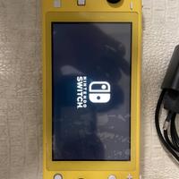 Nintendo switch lite