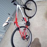 Bici MTB CRN 800