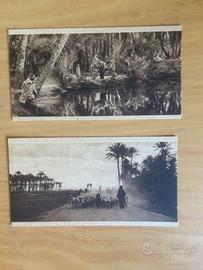 5 Post card Egitto primi anni 1900