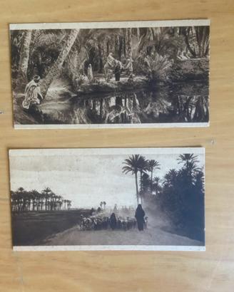 5 Post card Egitto primi anni 1900