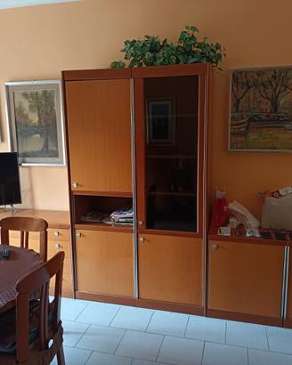 Mobile sala componibile