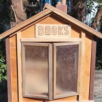 casetta libri e riviste per comunità 