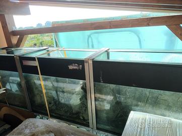 Acquario 800 litri