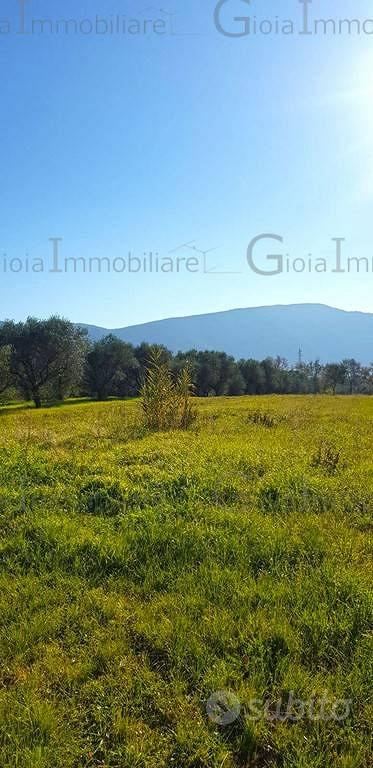 Terreno di 3360 m² a Sessa Aurunca - Altro