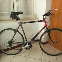 Bici Bianchi Stone Meadow