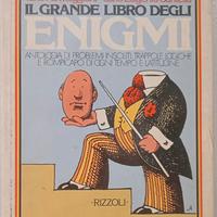 Il grande libro degli enigmi
